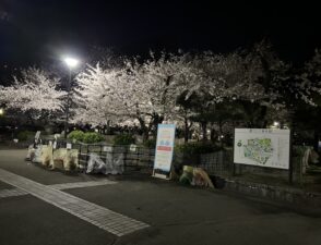 IMG_5601